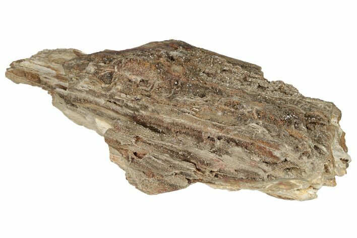 Sparkly, Silicified Petrified Wood - Smoky Hill Chalk, Kansas #197986